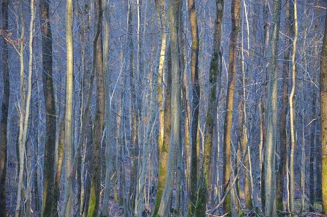 Confidences sensuel à distance