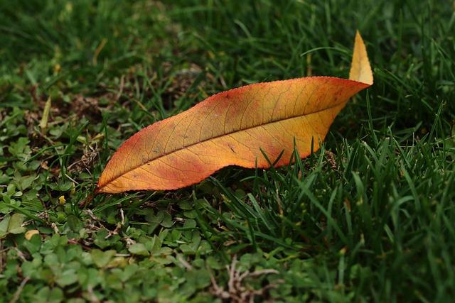 Camgirl séduction dans ta chambre