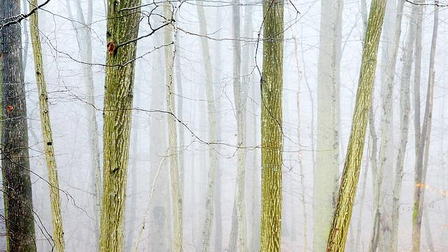 Femme à suivre en cam douce-amère ouvre le bal sexy session torride confidentielle