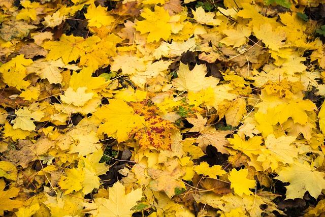 Jeux confidences chez toi