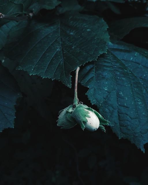 Moment webcam ce soir