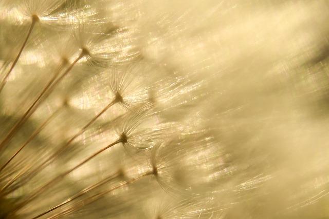 Modèle érotique soft incroyablement sexy t’attend sur sa cam live exclusif soft