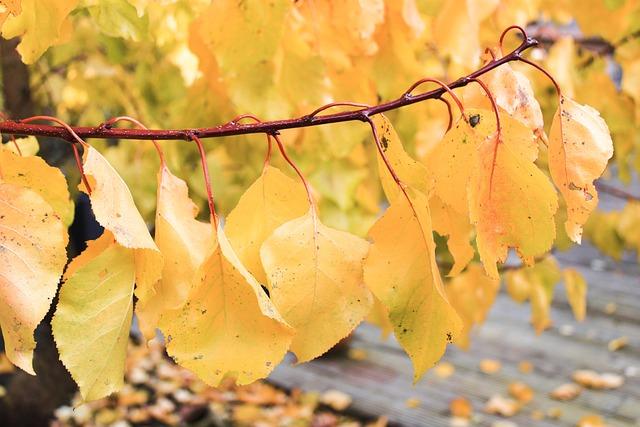 Muse nue du soir délicate propose un moment sexy connexion sexy fluide