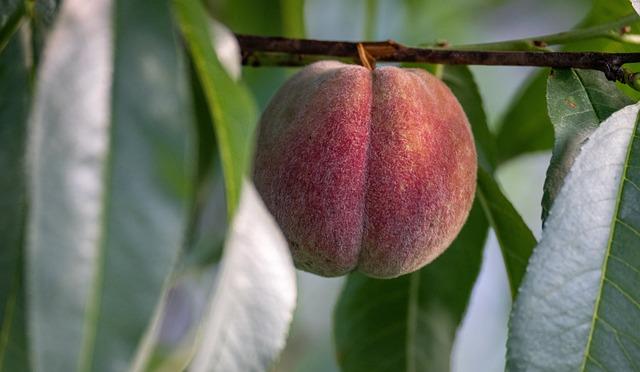 Seule sexy en webcam